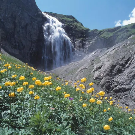 Schlegeli Apartament Adelboden